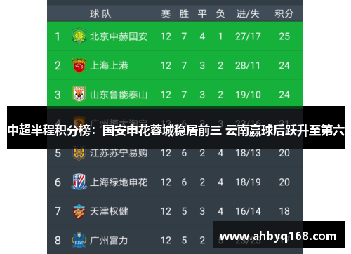 中超半程积分榜:国安申花蓉城稳居前三 云南赢球后跃升至第六 中超半程积分榜:国安申花蓉城稳居前三 云南赢球后跃升至第六