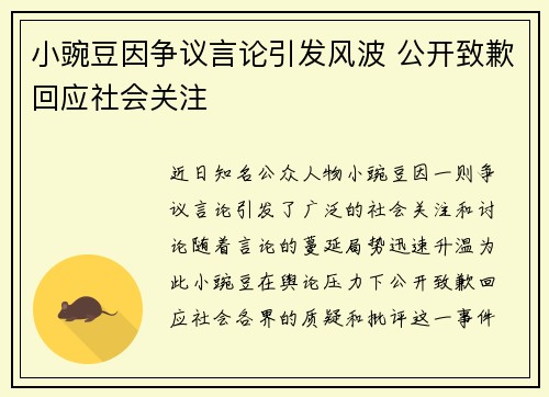 小豌豆因争议言论引发风波 公开致歉回应社会关注 小豌豆因争议言论引发风波 公开致歉回应社会关注