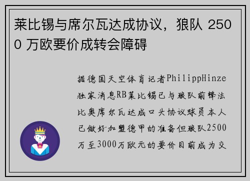 莱比锡与席尔瓦达成协议，狼队 2500 万欧要价成转会障碍